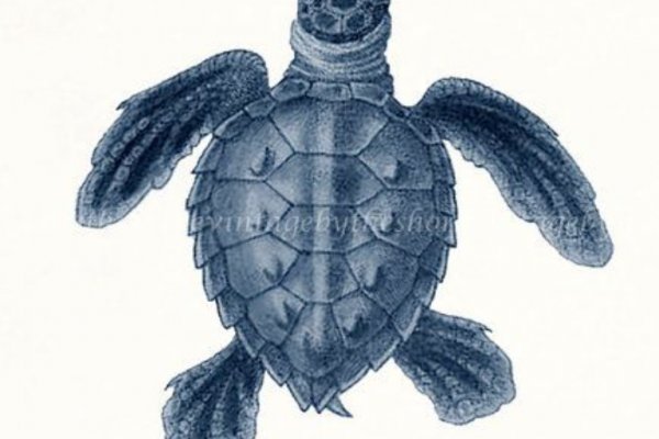 Kraken ссылка kraken014 com